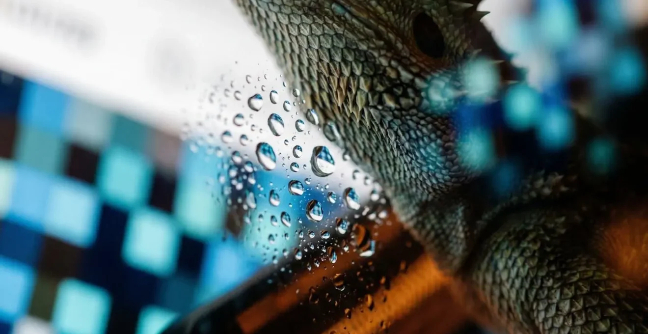 Installation professionnelle de terrarium avec système de régulation thermique et hygrométrique